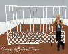 (DC) Wrought Iron Fence