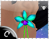.C Glo Orchid Earrings