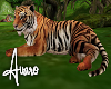 Lazy Tiger Animated