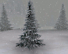 Snow Storm |Animated