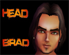 [NW] Brad Head