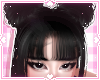 ❀. galva | black