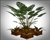 -S-Green Plant Deco