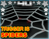 Trigger  Spiders Web
