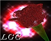 Romantic Glow Rose