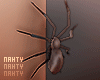 Body Spiders