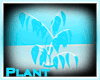 [Q] Blue Candy Plants