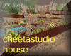 cheetalstudiohouse