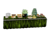 Garden Buffet Table