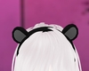 P! Teddy Bear Black