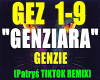 GENZIARA-GENZIE/RMX.
