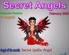 !SH!Secret Angels Magazn