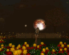 SPRING NIGHT LIGHT