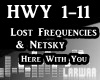 Lost Frequencies&Netsk