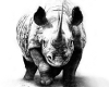 Rhino Revolution Tanktop