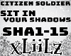 CS - Sit In Your Shadows