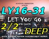 Ly16-31 -PT2/2