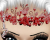 [apj] HD Rose red