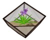 FLOWER IN GLASS BOX