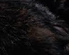 black furr