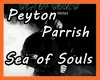 Sea of Souls