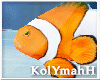 KYH | AQUA fish