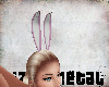 Bunny Ears Pink
