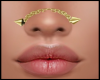 Gold Chain Nose Piercing