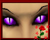 *Dragon Eyes Purple F