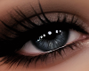 !B DIANE Drama Eyeshadow