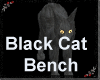Black Cat Bench