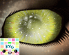 |Kyo|Light Nebula Eyes