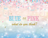 Gender Reveal Banner
