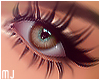 Perfect Lashes Zell 2