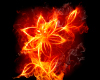 Flaming Flower