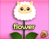Lamb Flower