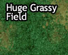 Huge Grassy Field