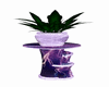 fontain+plant purple