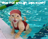 Swim Kitty