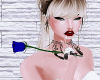 Blue Rose ❀