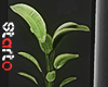 Modern plant. white