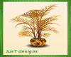 Thanksgiving Plant 3