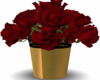 rosas