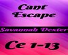 Cant Escape