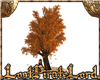 [LPL] Autumn Kiss Tree