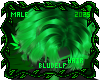 Kush Hair