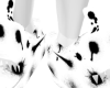 whiteblack shark