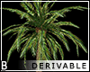 DRV Palm Trees 2
