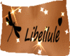 *Love Libellule tattoo*
