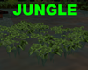 JUNGLE WATER PLANT
